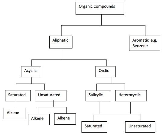 Organic Chemistry And Classification Of Organic Molecules Chemistry